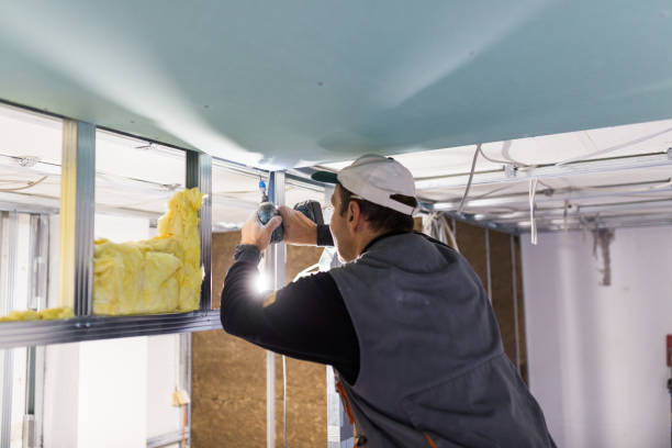 Best Geographic-Specific Insulation Services in Ithaca, MI
