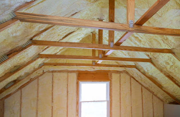 Best Cellulose Insulation in Ithaca, MI