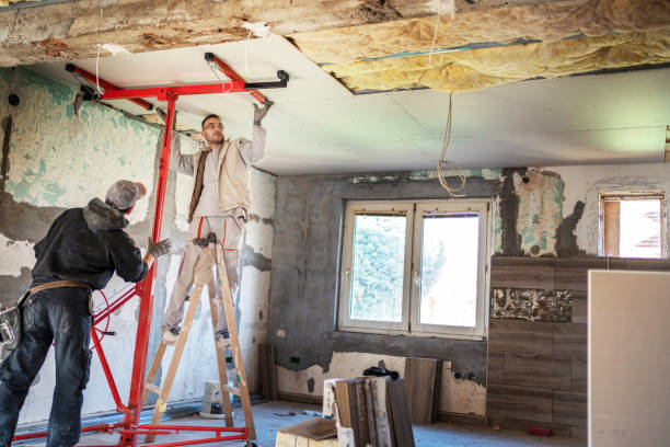 Best Commercial Insulation in Ithaca, MI