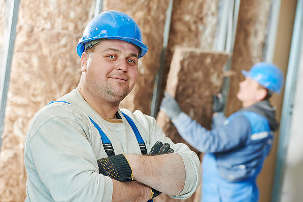 Best DIY Insulation Kits and Guidance in Ithaca, MI