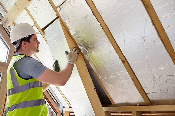 Best Specialized Insulation Services in Ithaca, MI