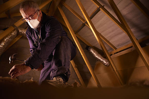 Types of Insulation We Offer in Ithaca, MI